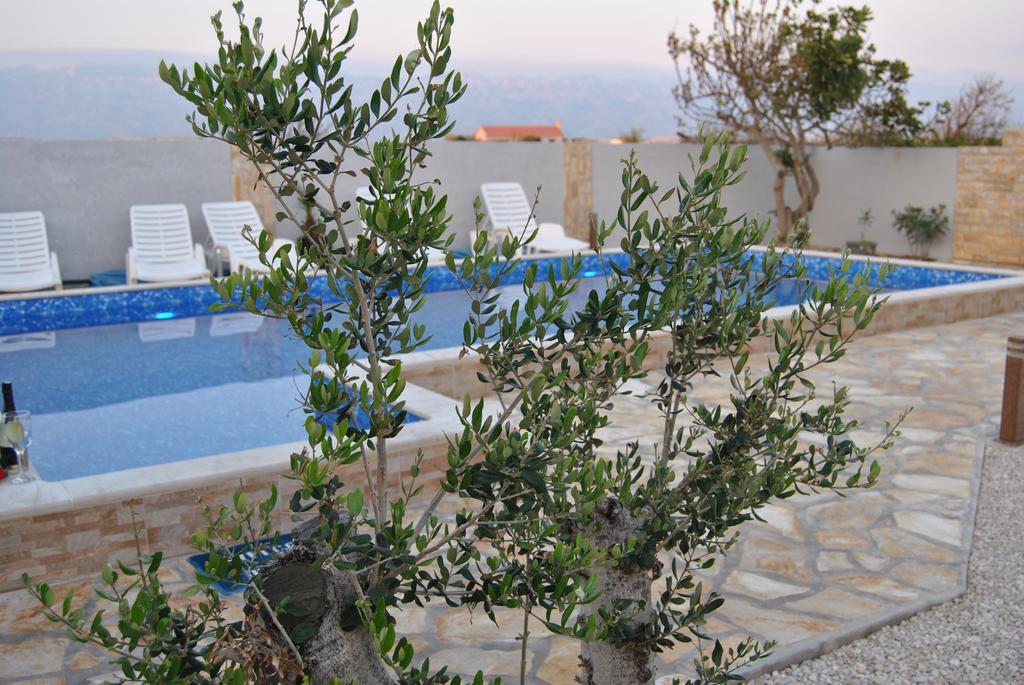 House With Swimming Pool Blue Diamond Apartment Povljana Exterior photo
